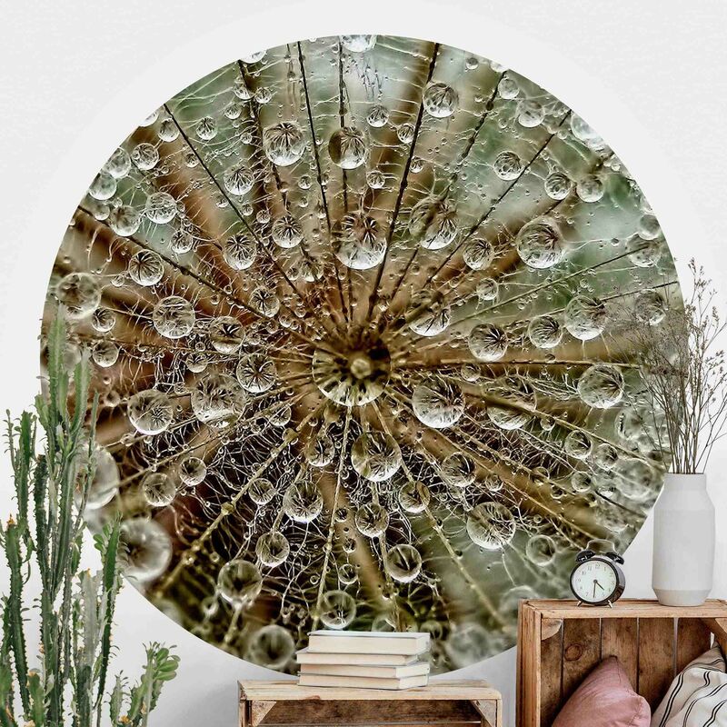 Papel pintado redondo autoadhesivo - Dandelion In Autumn Dimensión LxA: 75cm x 75cm
Papel pintado redondo autoadhesivo - Dandelion In Autumn Dimensión LxA: 75cm x 75cm