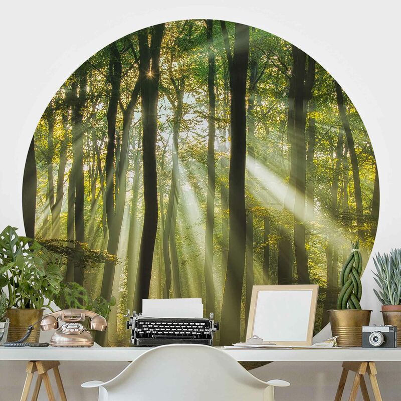 Papel pintado redondo autoadhesivo - Sunny Day In The Forest Dimensión LxA: 75cm x 75cm
Papel pintado redondo autoadhesivo - Sunny Day In The Forest Dimensión LxA: 75cm x 75cm