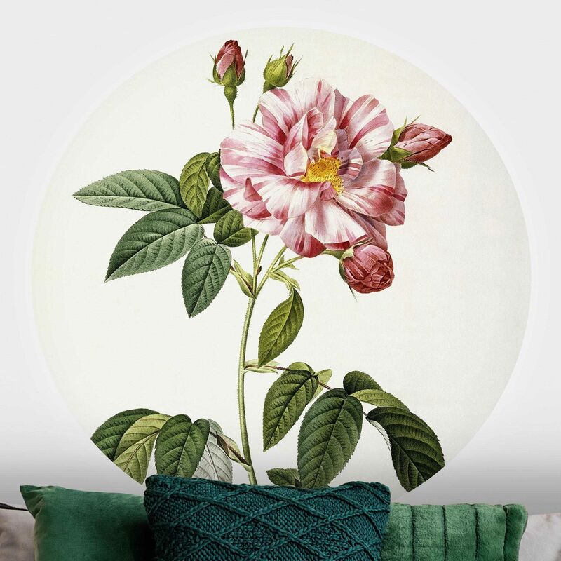 Papel pintado redondo autoadhesivo - Pierre Joseph Redoute - Rosa Gallica Rose Dimensión LxA: 122cm x 122cm
Papel pintado redondo autoadhesivo - Pierre Joseph Redoute - Rosa Gallica Rose Dimensión LxA: 122cm x 122cm