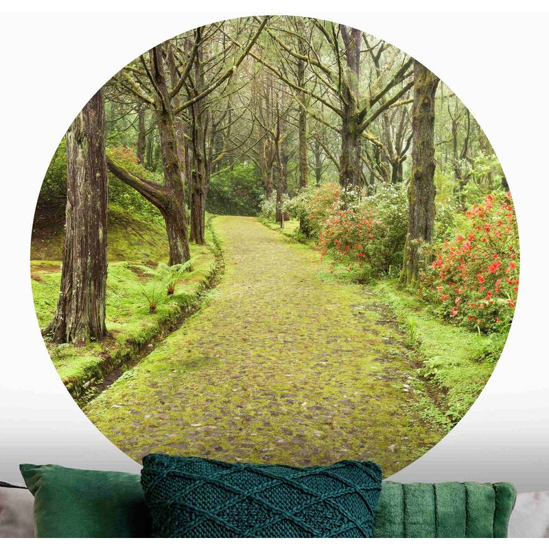 Papel pintado redondo autoadhesivo - Moss-covered Road Dimensión LxA: 150cm x 150cm
Papel pintado redondo autoadhesivo - Moss-covered Road Dimensión LxA: 150cm x 150cm