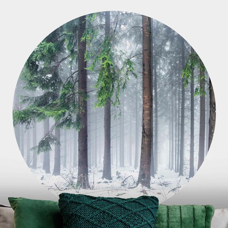 Papel pintado redondo autoadhesivo - Conifers In Winter Dimensión LxA: 225cm x 225cm
Papel pintado redondo autoadhesivo - Conifers In Winter Dimensión LxA: 225cm x 225cm
