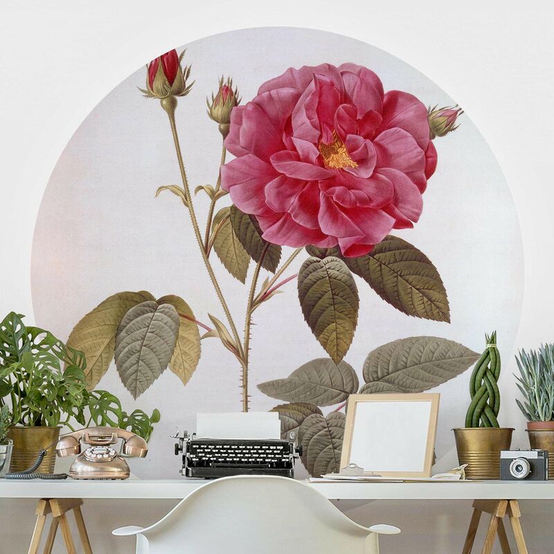 Papel pintado redondo autoadhesivo - Pierre Joseph Redoute - Apothecary's Rose Dimensión LxA: 75cm x 75cm
Papel pintado redondo autoadhesivo - Pierre Joseph Redoute - Apothecary's Rose Dimensión LxA: 75cm x 75cm