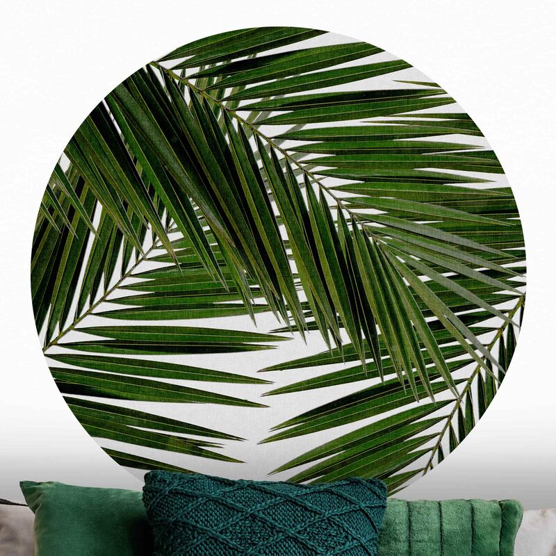 Papel pintado redondo autoadhesivo - View Through Green Palm Leaves Dimensión LxA: 122cm x 122cm
Papel pintado redondo autoadhesivo - View Through Green Palm Leaves Dimensión LxA: 122cm x 122cm