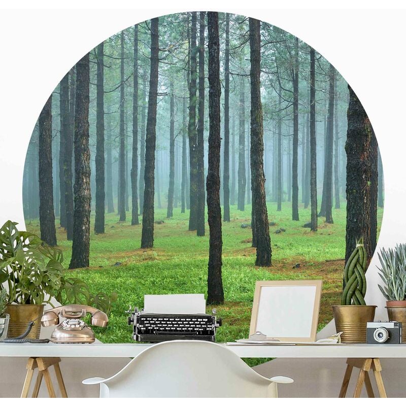 Papel pintado redondo autoadhesivo - Deep Forest With Pine Trees On La Palma Dimensión LxA: 225cm x 225cm
Papel pintado redondo autoadhesivo - Deep Forest With Pine Trees On La Palma Dimensión LxA: 225cm x 225cm