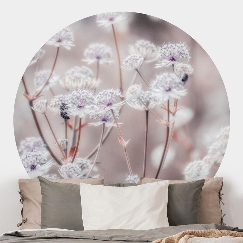 Papel pintado redondo autoadhesivo - Wild Flowers Light As A Feather Dimensión LxA: 75cm x 75cm
Papel pintado redondo autoadhesivo - Wild Flowers Light As A Feather Dimensión LxA: 75cm x 75cm