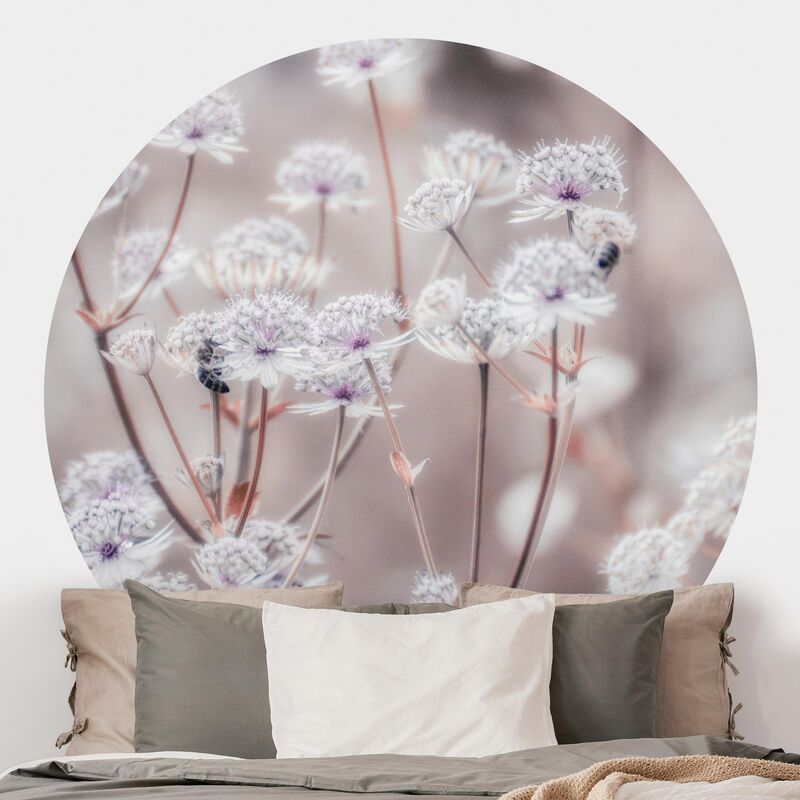 Papel pintado redondo autoadhesivo - Wild Flowers Light As A Feather Dimensión LxA: 122cm x 122cm
Papel pintado redondo autoadhesivo - Wild Flowers Light As A Feather Dimensión LxA: 122cm x 122cm