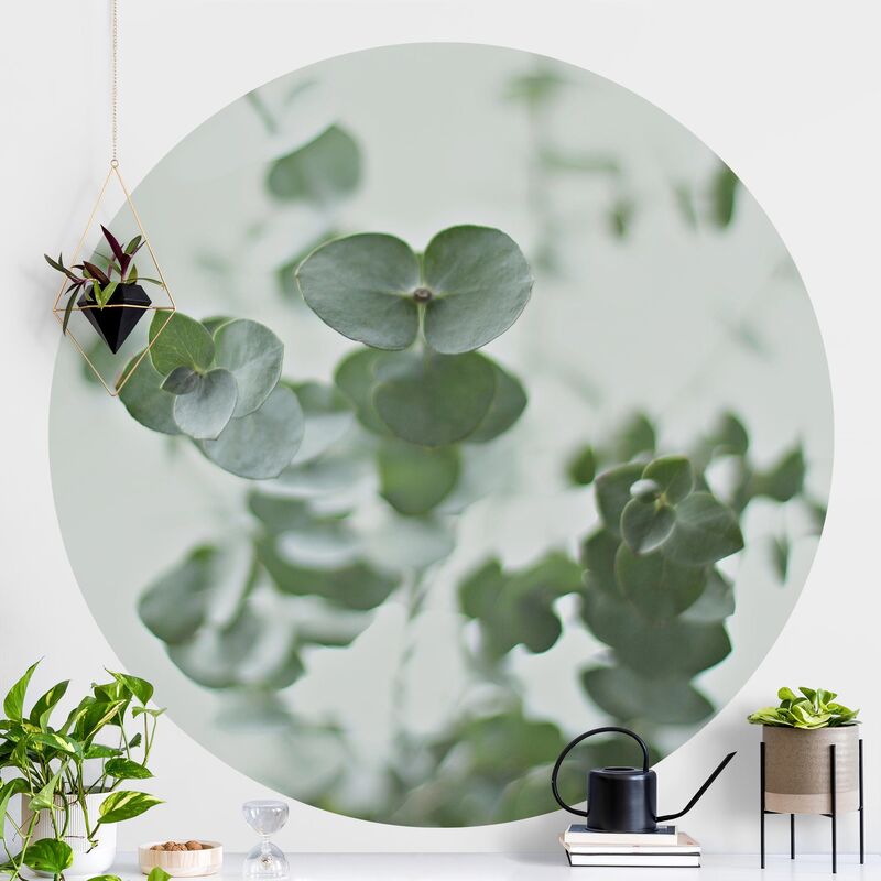 Papel pintado redondo autoadhesivo - Growing Eucalyptus Dimensión LxA: 244cm x 244cm
Papel pintado redondo autoadhesivo - Growing Eucalyptus Dimensión LxA: 244cm x 244cm