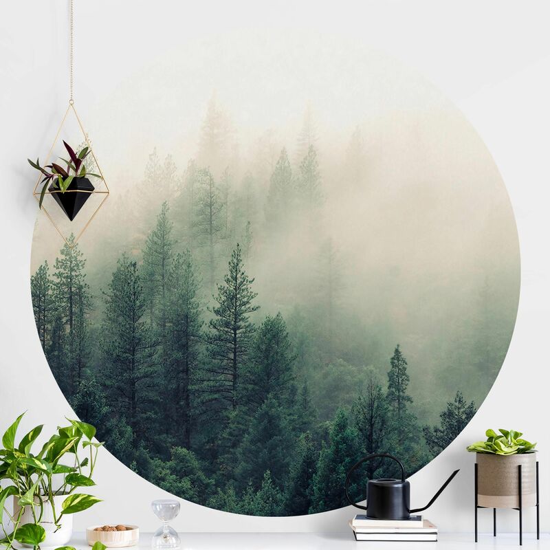 Papel pintado redondo autoadhesivo - Foggy Forest Awakening Dimensión LxA: 150cm x 150cm
Papel pintado redondo autoadhesivo - Foggy Forest Awakening Dimensión LxA: 150cm x 150cm