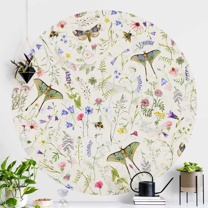 Papel pintado redondo autoadhesivo - Butterflies With Flowers On Cream Colour Dimensión LxA: 75cm x 75cm
Papel pintado redondo autoadhesivo - Butterflies With Flowers On Cream Colour Dimensión LxA: 75cm x 75cm