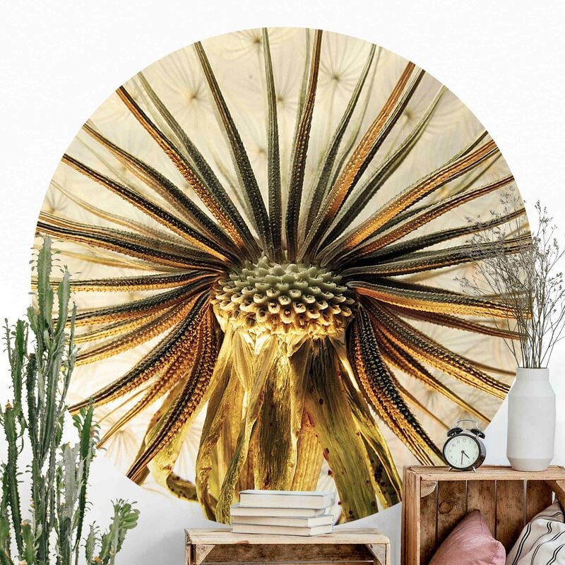 Papel pintado redondo autoadhesivo - The Himalayas II Dimensión LxA: 175cm x 175cm
Papel pintado redondo autoadhesivo - The Himalayas II Dimensión LxA: 175cm x 175cm