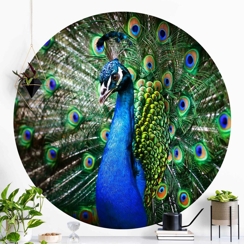 Papel pintado redondo autoadhesivo - Noble Mandala In Wood Look Dimensión LxA: 244cm x 244cm
Papel pintado redondo autoadhesivo - Noble Mandala In Wood Look Dimensión LxA: 244cm x 244cm
