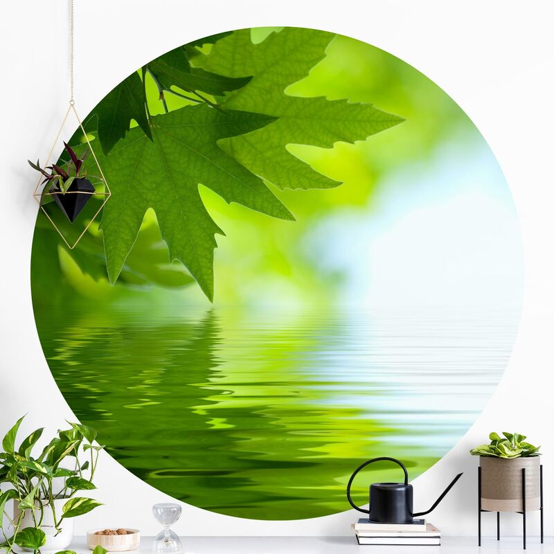 Papel pintado redondo autoadhesivo - Green Ambiance II Dimensión LxA: 200cm x 200cm
Papel pintado redondo autoadhesivo - Green Ambiance II Dimensión LxA: 200cm x 200cm