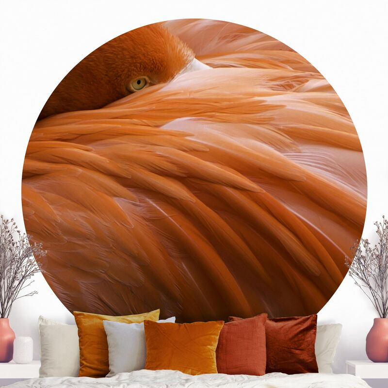 Papel pintado redondo autoadhesivo - Flamingo Feathers Dimensión LxA: 150cm x 150cm
Papel pintado redondo autoadhesivo - Flamingo Feathers Dimensión LxA: 150cm x 150cm