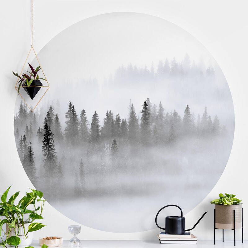 Papel pintado redondo autoadhesivo - Fog In The Fir Forest Black And White Dimensión LxA: 122cm x 122cm
Papel pintado redondo autoadhesivo - Fog In The Fir Forest Black And White Dimensión LxA: 122cm x 122cm