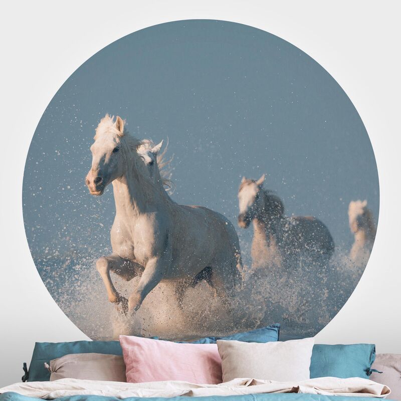 Papel pintado redondo autoadhesivo - Herd Of White Horses Dimensión LxA: 75cm x 75cm
Papel pintado redondo autoadhesivo - Herd Of White Horses Dimensión LxA: 75cm x 75cm