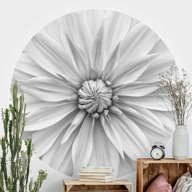 Papel pintado redondo autoadhesivo - Botanical Blossom In White Dimensión LxA: 50cm x 50cm
Papel pintado redondo autoadhesivo - Botanical Blossom In White Dimensión LxA: 50cm x 50cm