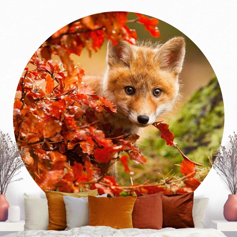 Papel pintado redondo autoadhesivo - Fox In Autumn Dimensión LxA: 175cm x 175cm
Papel pintado redondo autoadhesivo - Fox In Autumn Dimensión LxA: 175cm x 175cm