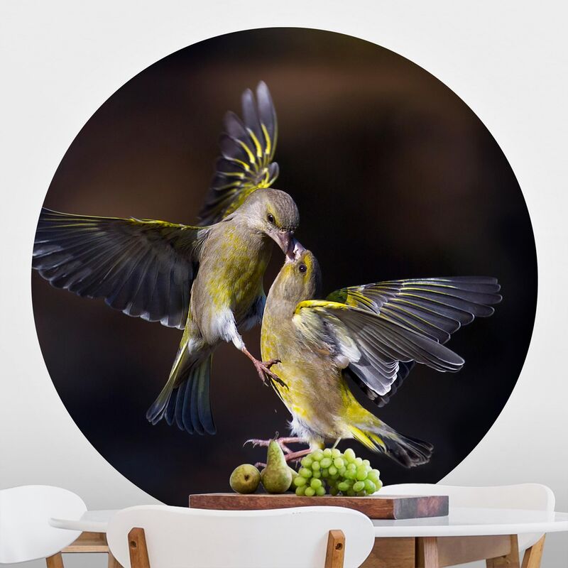 Papel pintado redondo autoadhesivo - Kissing Hummingbirds Dimensión LxA: 75cm x 75cm
Papel pintado redondo autoadhesivo - Kissing Hummingbirds Dimensión LxA: 75cm x 75cm