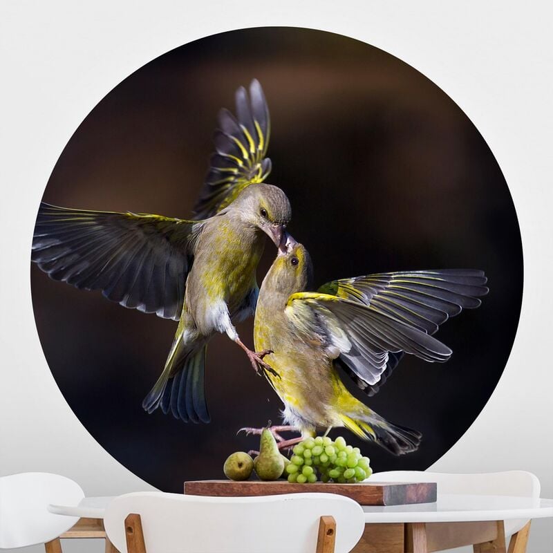 Papel pintado redondo autoadhesivo - Kissing Hummingbirds Dimensión LxA: 50cm x 50cm
Papel pintado redondo autoadhesivo - Kissing Hummingbirds Dimensión LxA: 50cm x 50cm