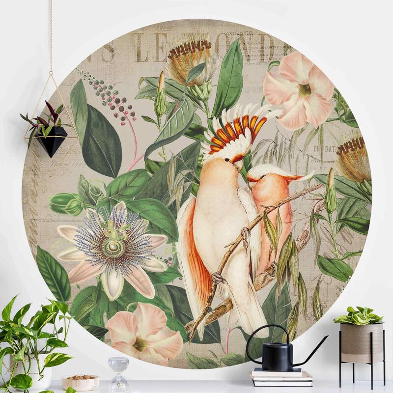 Papel pintado redondo autoadhesivo - Colonial Style Collage - Galah Dimensión LxA: 244cm x 244cm
Papel pintado redondo autoadhesivo - Colonial Style Collage - Galah Dimensión LxA: 244cm x 244cm