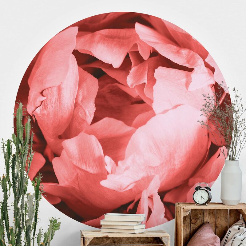 Papel pintado redondo autoadhesivo - Peony Blossom Coral Dimensión LxA: 150cm x 150cm
Papel pintado redondo autoadhesivo - Peony Blossom Coral Dimensión LxA: 150cm x 150cm