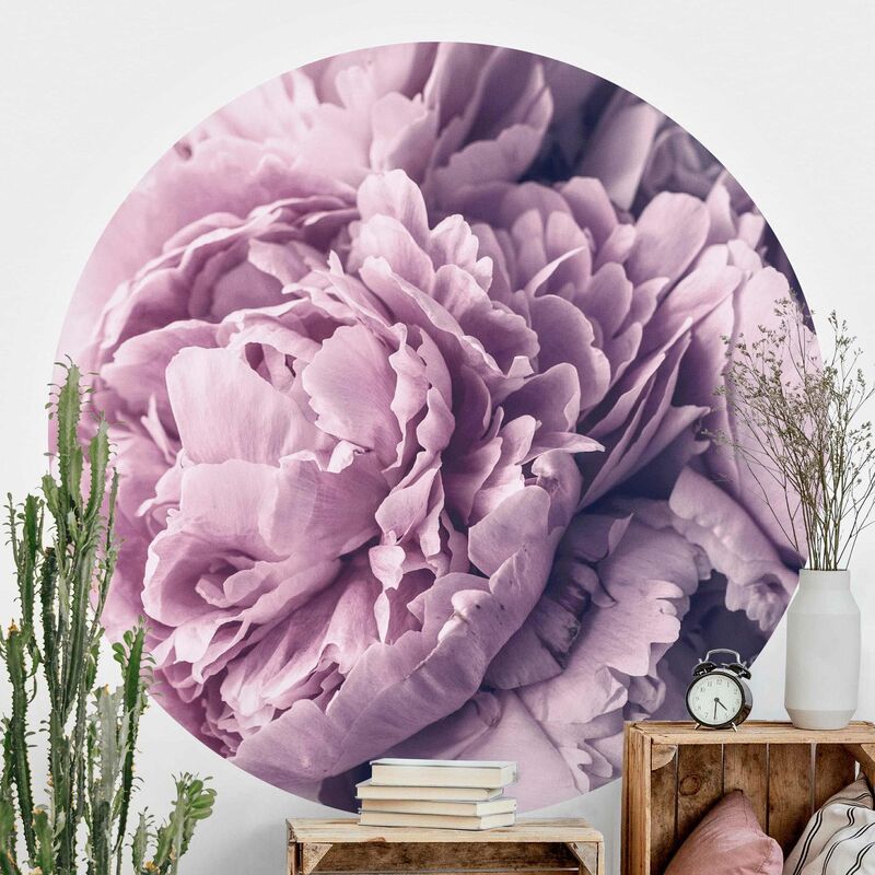 Papel pintado redondo autoadhesivo - Purple Peony Blossoms Dimensión LxA: 150cm x 150cm
Papel pintado redondo autoadhesivo - Purple Peony Blossoms Dimensión LxA: 150cm x 150cm