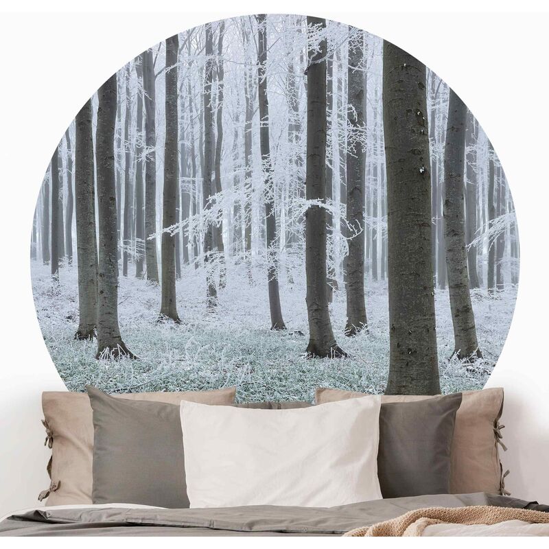 Papel pintado redondo autoadhesivo - Beeches With Hoarfrost Dimensión LxA: 75cm x 75cm
Papel pintado redondo autoadhesivo - Beeches With Hoarfrost Dimensión LxA: 75cm x 75cm