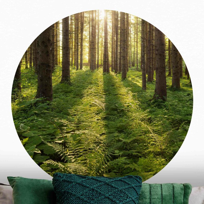 Papel pintado redondo autoadhesivo - Sun Rays In Green Forest Dimensión LxA: 100cm x 100cm
Papel pintado redondo autoadhesivo - Sun Rays In Green Forest Dimensión LxA: 100cm x 100cm