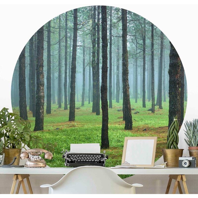 Papel pintado redondo autoadhesivo - Deep Forest With Pine Trees On La Palma Dimensión LxA: 100cm x 100cm
Papel pintado redondo autoadhesivo - Deep Forest With Pine Trees On La Palma Dimensión LxA: 100cm x 100cm