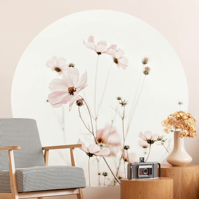 Papel pintado redondo autoadhesivo - Garden Cosmos In Soft Cream Tones Dimensión LxA: 200cm x 200cm
Papel pintado redondo autoadhesivo - Garden Cosmos In Soft Cream Tones Dimensión LxA: 200cm x 200cm