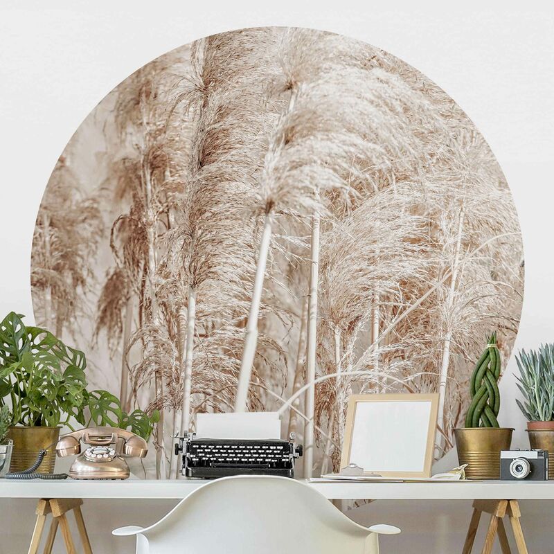 Papel pintado redondo autoadhesivo - Warm Pampas Grass In Summer Dimensión LxA: 200cm x 200cm
Papel pintado redondo autoadhesivo - Warm Pampas Grass In Summer Dimensión LxA: 200cm x 200cm