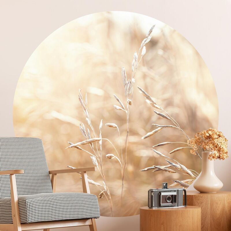 Papel pintado redondo autoadhesivo - Grasses In The Sun Dimensión LxA: 122cm x 122cm
Papel pintado redondo autoadhesivo - Grasses In The Sun Dimensión LxA: 122cm x 122cm