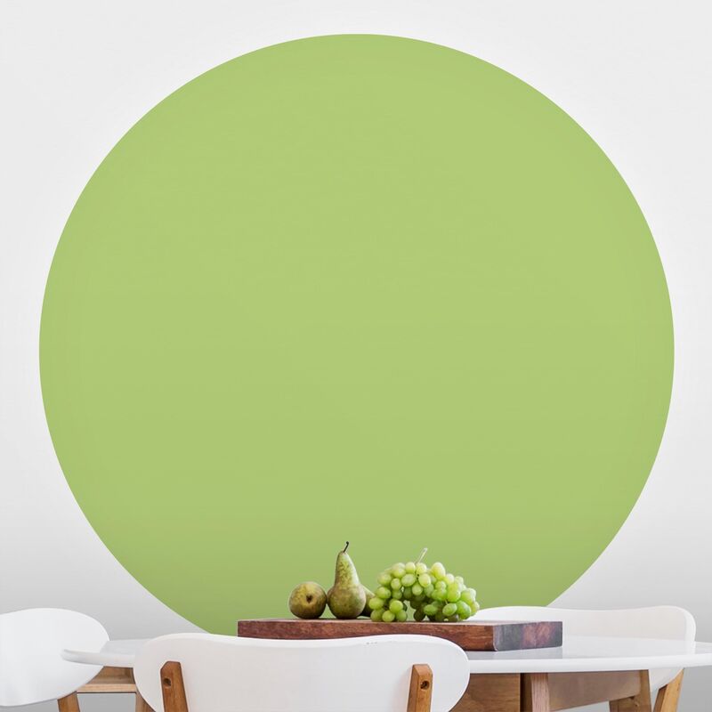 Papel pintado redondo autoadhesivo - Colour Spring Green Dimensión LxA: 225cm x 225cm
Papel pintado redondo autoadhesivo - Colour Spring Green Dimensión LxA: 225cm x 225cm