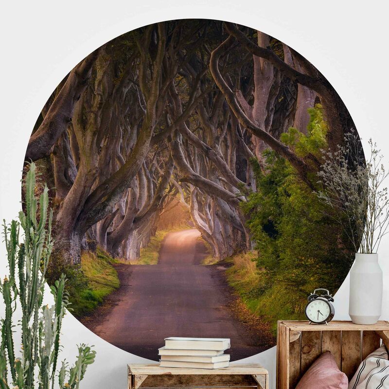 Papel pintado redondo autoadhesivo - Tunnel From Trees Dimensión LxA: 100cm x 100cm
Papel pintado redondo autoadhesivo - Tunnel From Trees Dimensión LxA: 100cm x 100cm