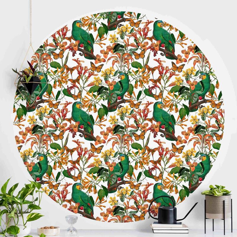 Papel pintado redondo autoadhesivo - Green Parrots With Tropical Butterflies Dimensión LxA: 225cm x 225cm
Papel pintado redondo autoadhesivo - Green Parrots With Tropical Butterflies Dimensión LxA: 225cm x 225cm