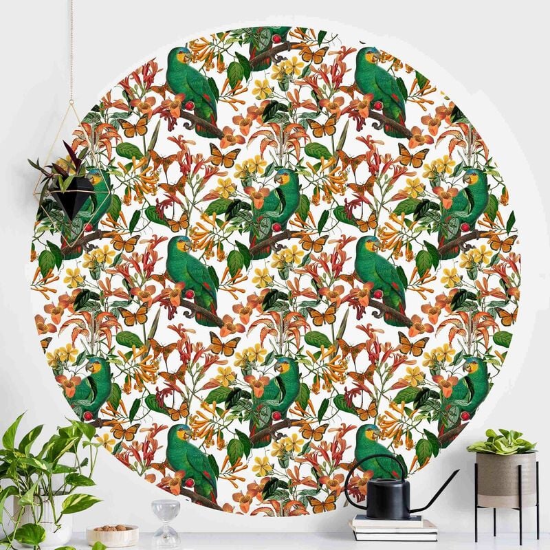 Papel pintado redondo autoadhesivo - Green Parrots With Tropical Butterflies Dimensión LxA: 100cm x 100cm
Papel pintado redondo autoadhesivo - Green Parrots With Tropical Butterflies Dimensión LxA: 100cm x 100cm