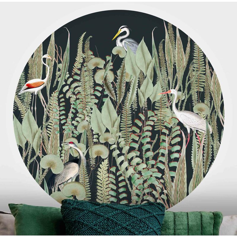 Papel pintado redondo autoadhesivo - Flamingo And Stork With Plants On Green Dimensión LxA: 50cm x 50cm
Papel pintado redondo autoadhesivo - Flamingo And Stork With Plants On Green Dimensión LxA: 50cm x 50cm