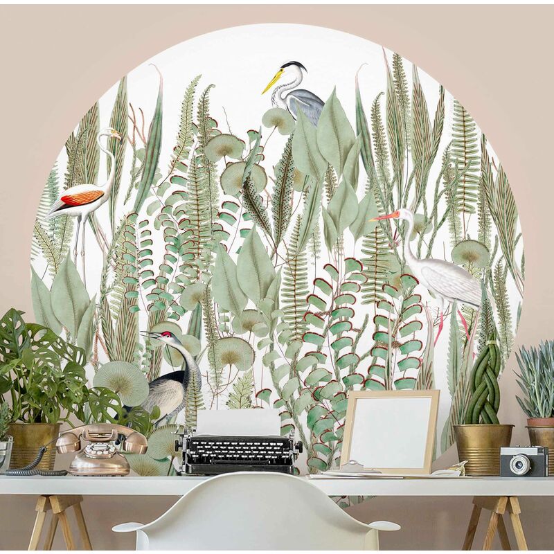 Papel pintado redondo autoadhesivo - Flamingo And Stork With Plants Dimensión LxA: 244cm x 244cm
Papel pintado redondo autoadhesivo - Flamingo And Stork With Plants Dimensión LxA: 244cm x 244cm