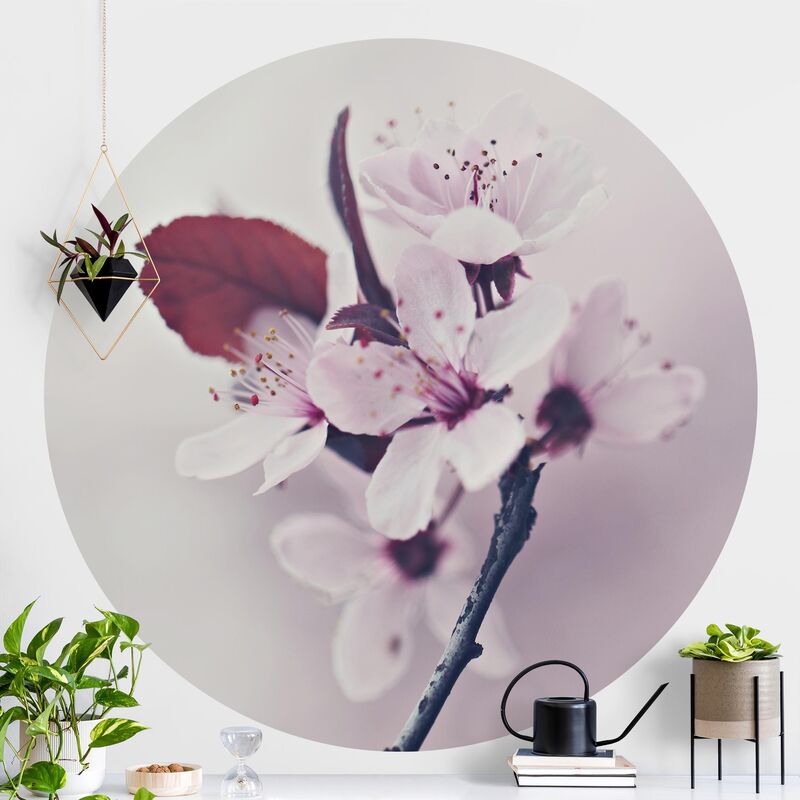 Papel pintado redondo autoadhesivo - Cherry Blossom Branch Antique Pink Dimensión LxA: 150cm x 150cm
Papel pintado redondo autoadhesivo - Cherry Blossom Branch Antique Pink Dimensión LxA: 150cm x 150cm