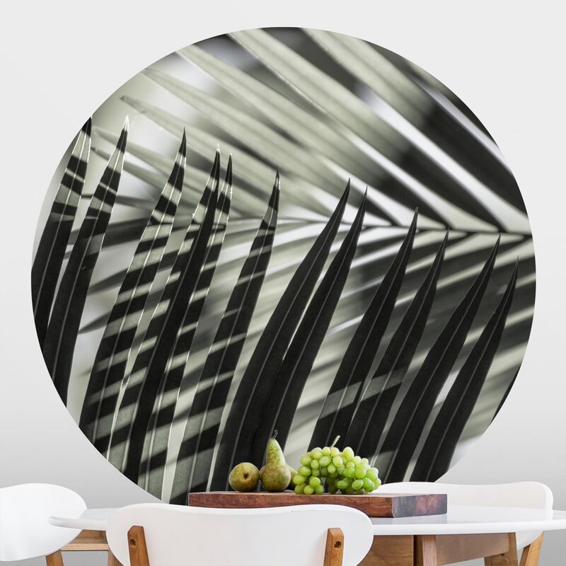 Papel pintado redondo autoadhesivo - Interplay Of Shaddow And Light On Palm Fronds Dimensión LxA: 100cm x 100cm
Papel pintado redondo autoadhesivo - Interplay Of Shaddow And Light On Palm Fronds Dimensión LxA: 100cm x 100cm