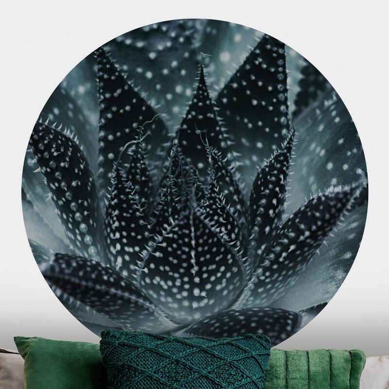 Papel pintado redondo autoadhesivo - Cactus Drizzled With Starlight At Night Dimensión LxA: 100cm x 100cm
Papel pintado redondo autoadhesivo - Cactus Drizzled With Starlight At Night Dimensión LxA: 100cm x 100cm