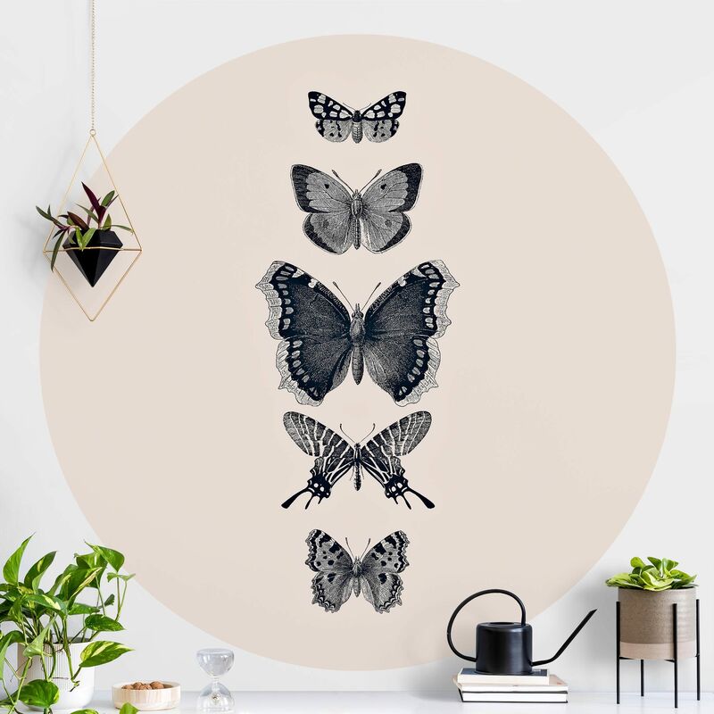Papel pintado redondo autoadhesivo - Ink Butterflies On Beige Backdrop Dimensión LxA: 50cm x 50cm
Papel pintado redondo autoadhesivo - Ink Butterflies On Beige Backdrop Dimensión LxA: 50cm x 50cm