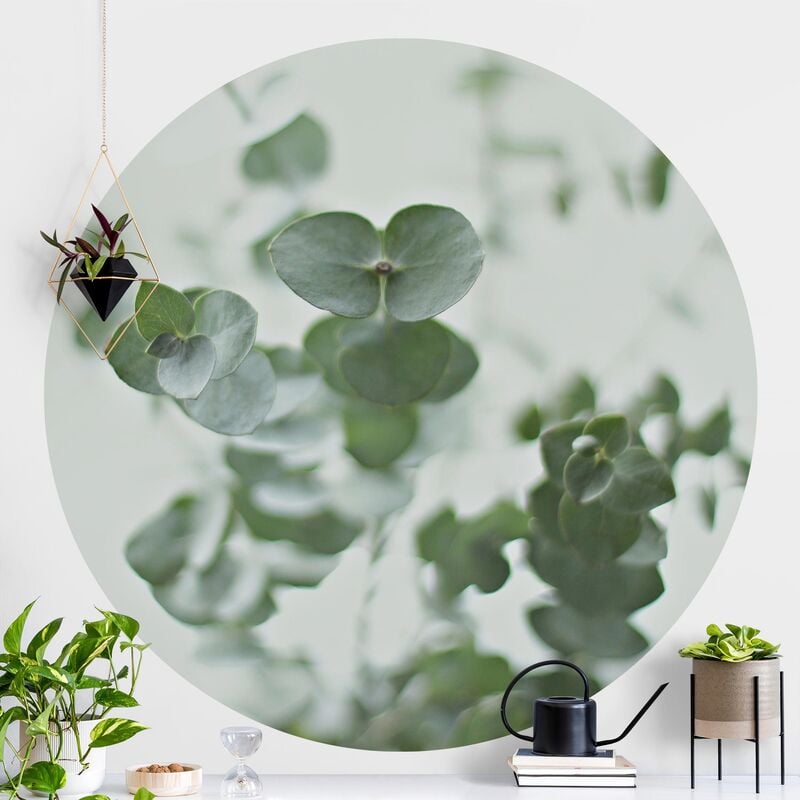 Papel pintado redondo autoadhesivo - Growing Eucalyptus Dimensión LxA: 150cm x 150cm
Papel pintado redondo autoadhesivo - Growing Eucalyptus Dimensión LxA: 150cm x 150cm