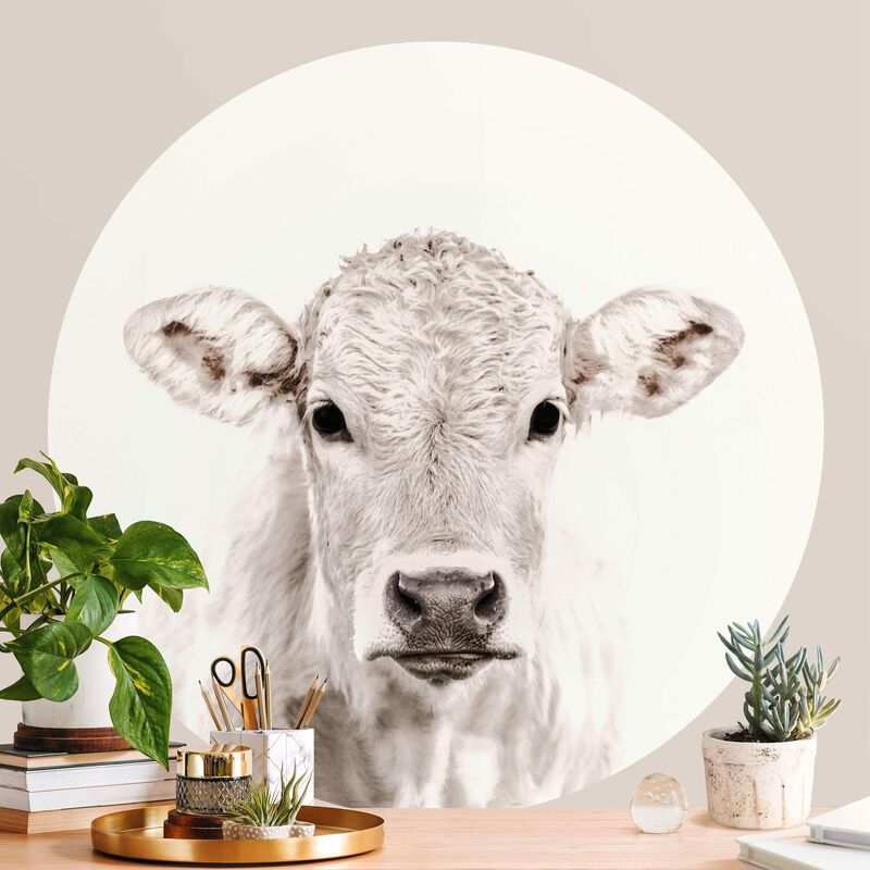 Bilderwelten - Papel pintado redondo autoadhesivo - White Calf Dimensión LxA: 200cm x 200cm
Bilderwelten - Papel pintado redondo autoadhesivo - White Calf Dimensión LxA: 200cm x 200cm