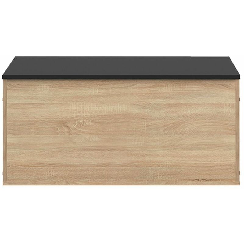 Pecho de banco KNIGHT roble natural y negro, 89 x 39.2 x 43.2 - roble natural y negro
Pecho de banco KNIGHT roble natural y negro, 89 x 39.2 x 43.2 - roble natural y negro