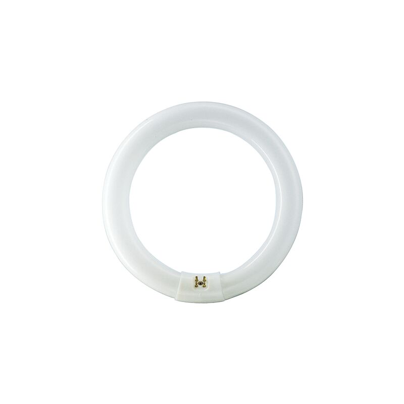 840 506 circular G10q bombilla de 22W - MASTER TL-E Super 80 - 4000K - Philips
840 506 circular G10q bombilla de 22W - MASTER TL-E Super 80 - 4000K - Philips