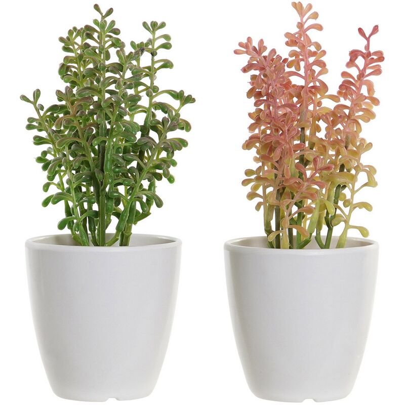 Planta Decorativa DKD Home Decor Melamina Gres Polipropileno (PP) (2 pcs) (10 x 8 x 18.5 cm)
Planta Decorativa DKD Home Decor Melamina Gres Polipropileno (PP) (2 pcs) (10 x 8 x 18.5 cm)