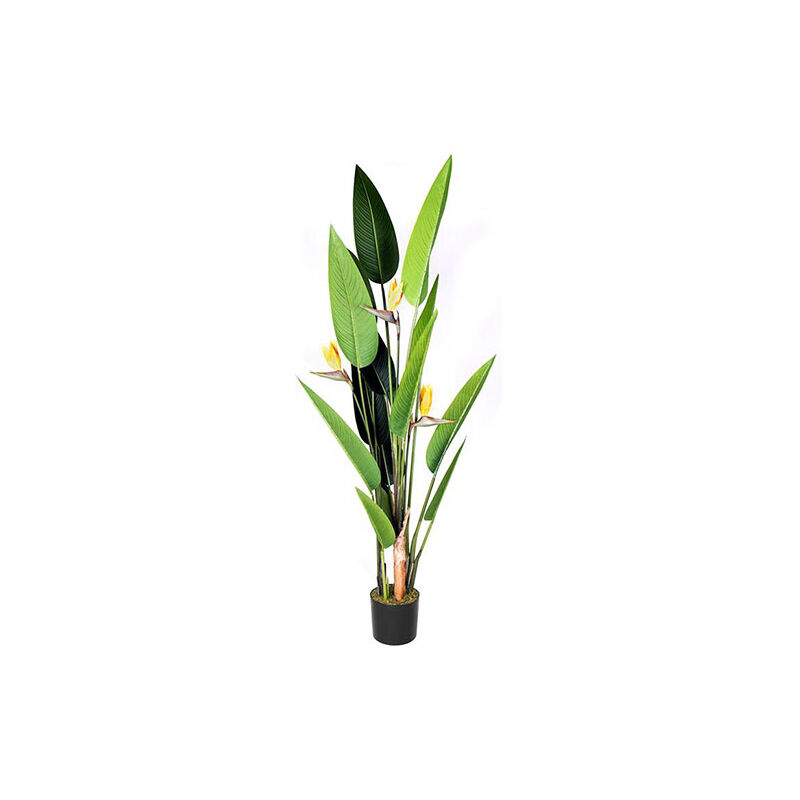 Plantawa Planta Artificial Ave del Paraíso Flor 185 cm Plantas Artificiales con Maceta para Casa Decoración para Interior y Exterior
Plantawa Planta Artificial Ave del Paraíso Flor 185 cm Plantas Artificiales con Maceta para Casa Decoración para Interior y Exterior