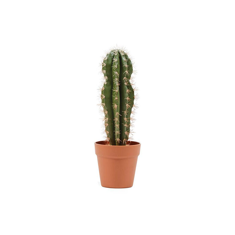 Plantawa Planta Artificial Cactus Stetsonia Alto 64 cm Plantas Artificiales con Maceta para Casa Decoración para Interior y Exterior
Plantawa Planta Artificial Cactus Stetsonia Alto 64 cm Plantas Artificiales con Maceta para Casa Decoración para Interior y Exterior