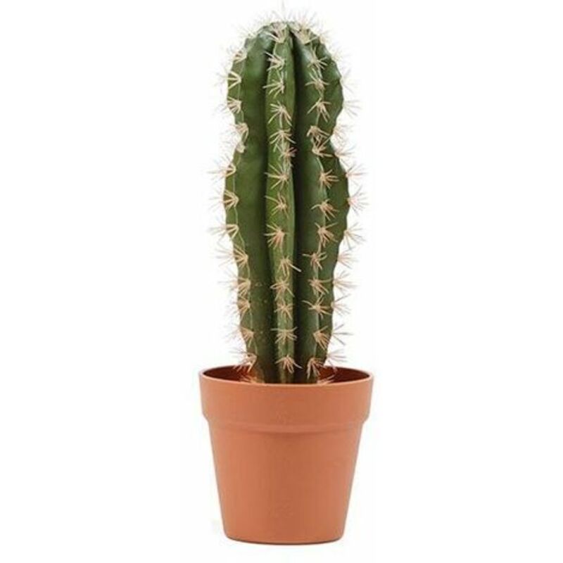 Plantawa Planta Artificial Cactus Stetsonia Bajo 43 cm Plantas Artificiales con Maceta para Casa Decoración para Interior y Exterior
Plantawa Planta Artificial Cactus Stetsonia Bajo 43 cm Plantas Artificiales con Maceta para Casa Decoración para Interior y Exterior